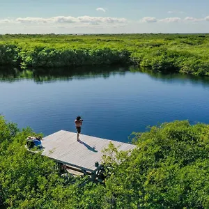 Cormoran & Cenote México